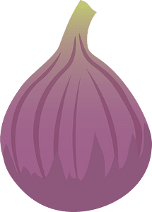 Common Fig Fruit
