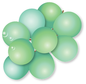 Grape