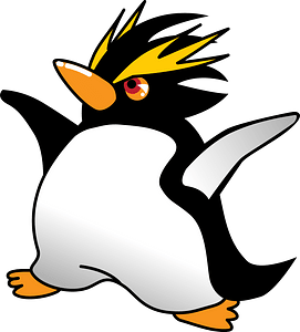 Southern Rockhopper Penguin