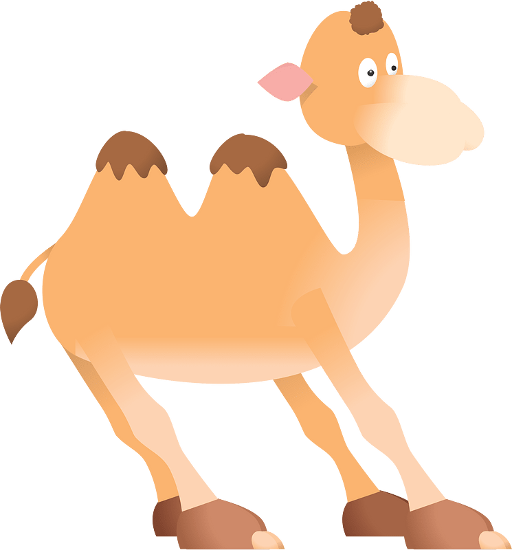Bactrian Camel
