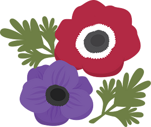 Poppy Anemone Flower