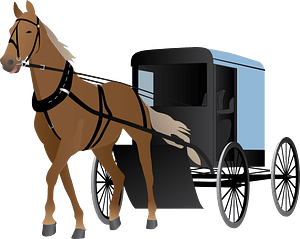 Horse-Drawn Vehicle