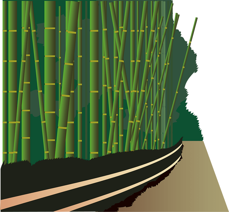 Bamboo Forest In Arashiyama