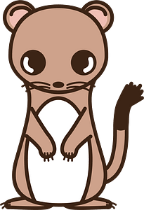 Long-Tailed Weasel