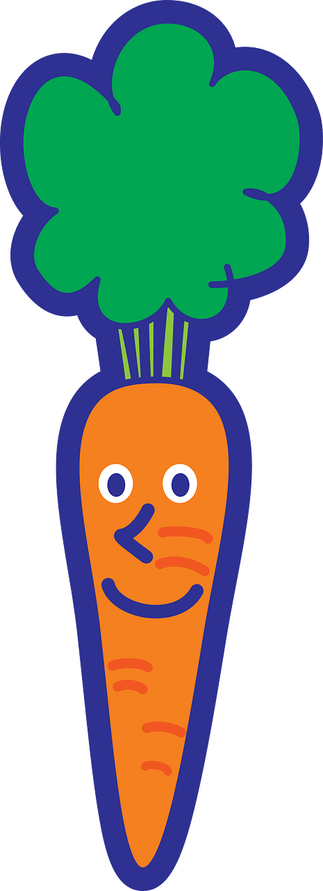 Carrot Vegetable Character