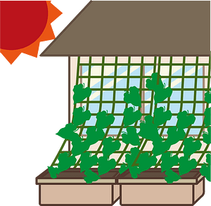 Green Curtain