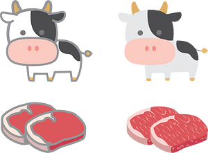 Beef and Cow