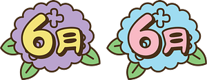 June Hydrangea Flower