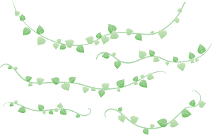 Ivy Lines