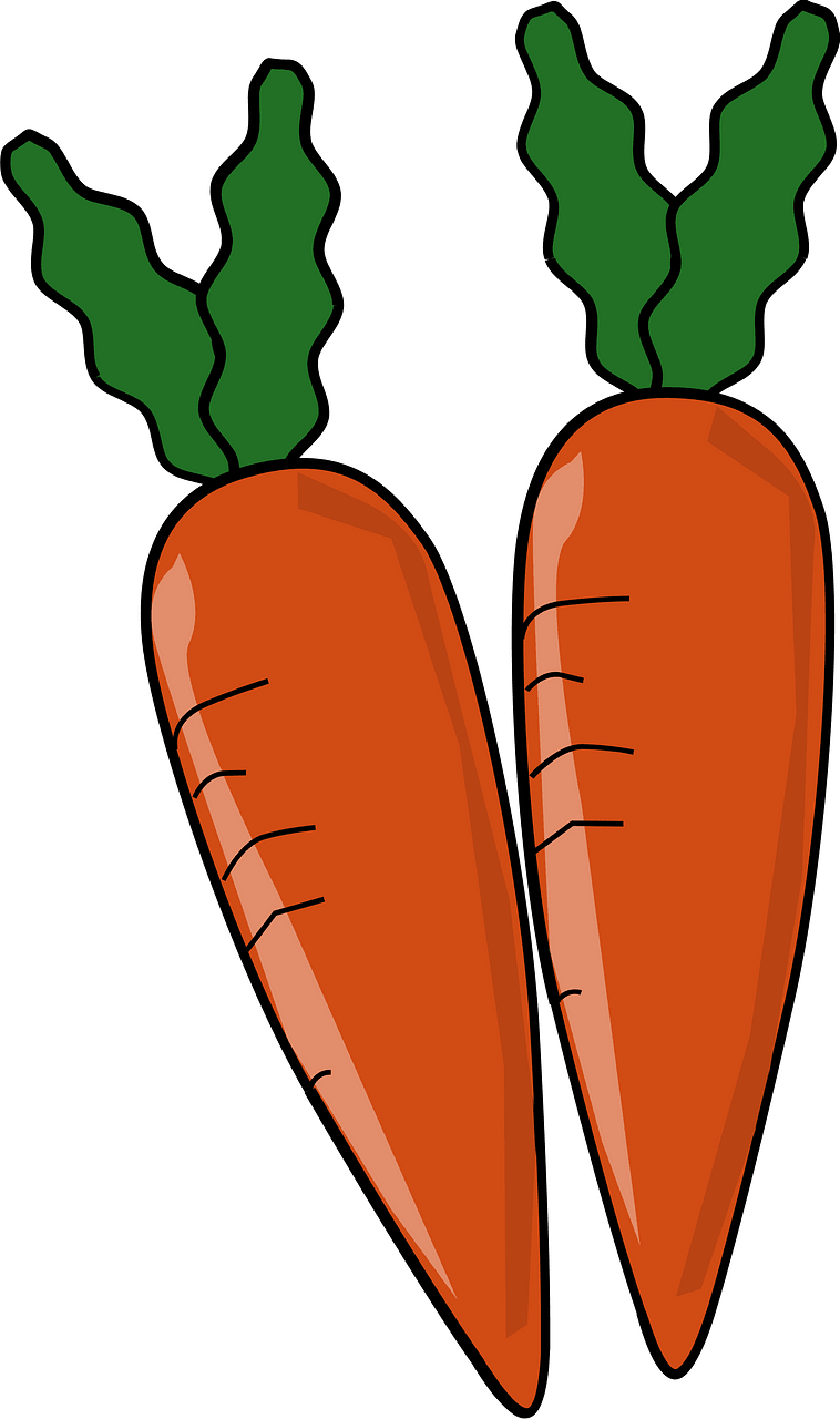Carrot Vegetable