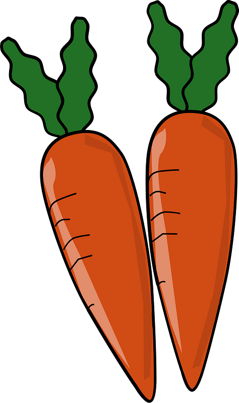 Carrot Vegetable