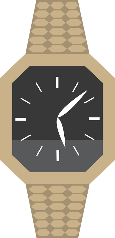 Wristwatch