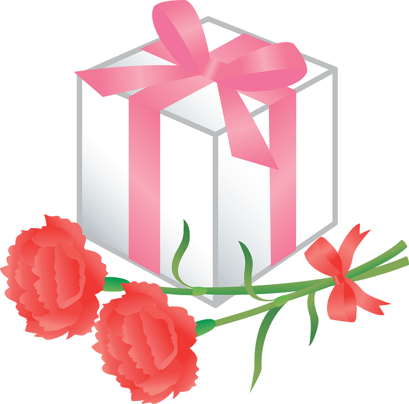 Mother's Day Gift Box and Carnation