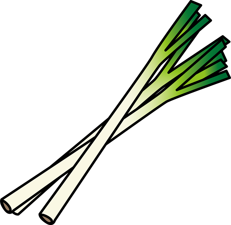 Welsh Onion Vegetable