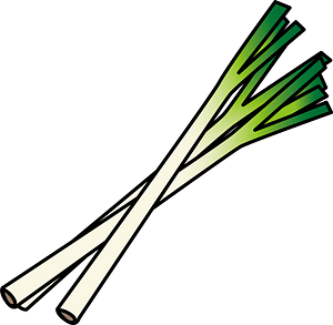 Welsh Onion Vegetable