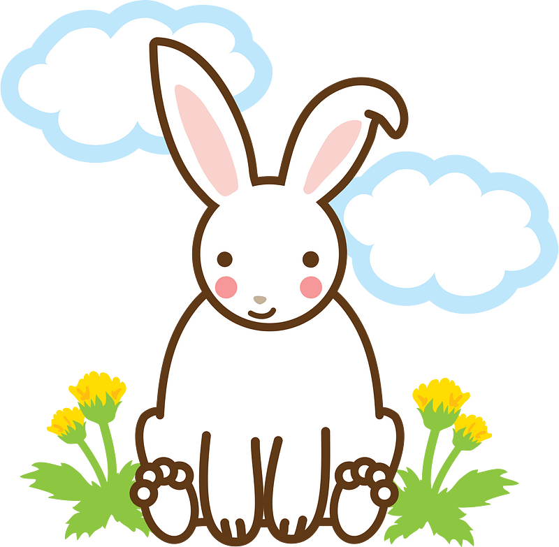 Cute White Rabbit