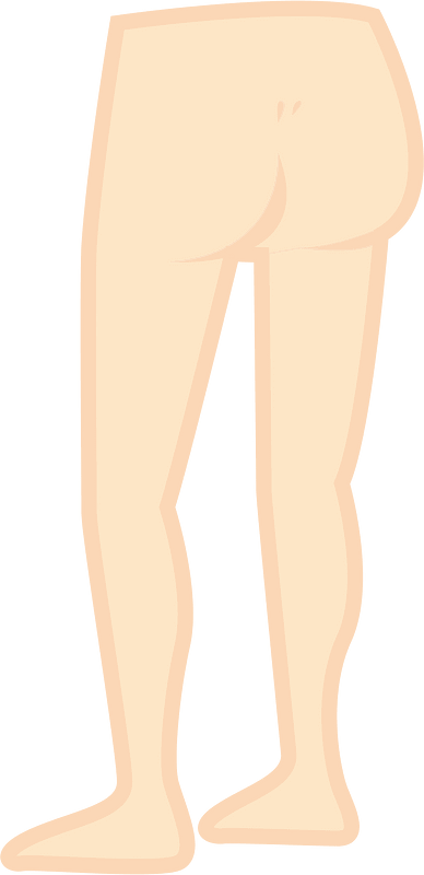 Lower Body - Legs