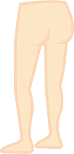 Lower Body - Legs