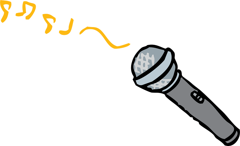 Karaoke Microphone