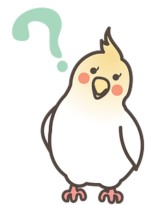 Cockatiel with a Question Mark