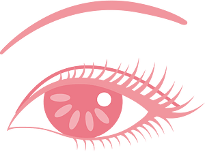 Eye and Eyebrow