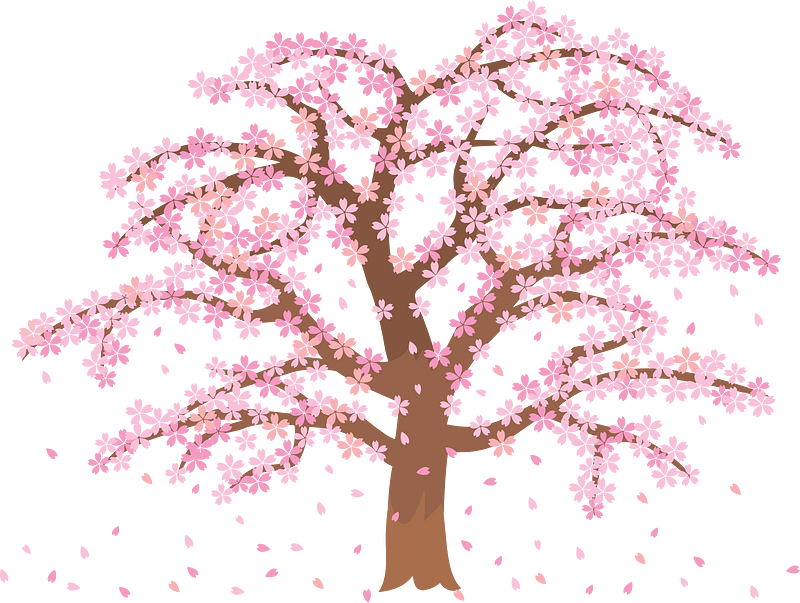 Cherry Blossom Tree