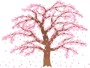 Cherry Blossom Tree