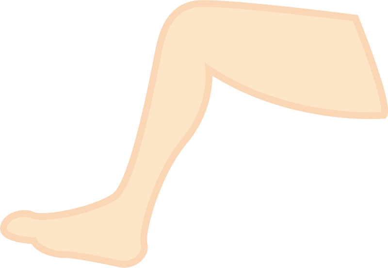 Lower Body Parts - Leg