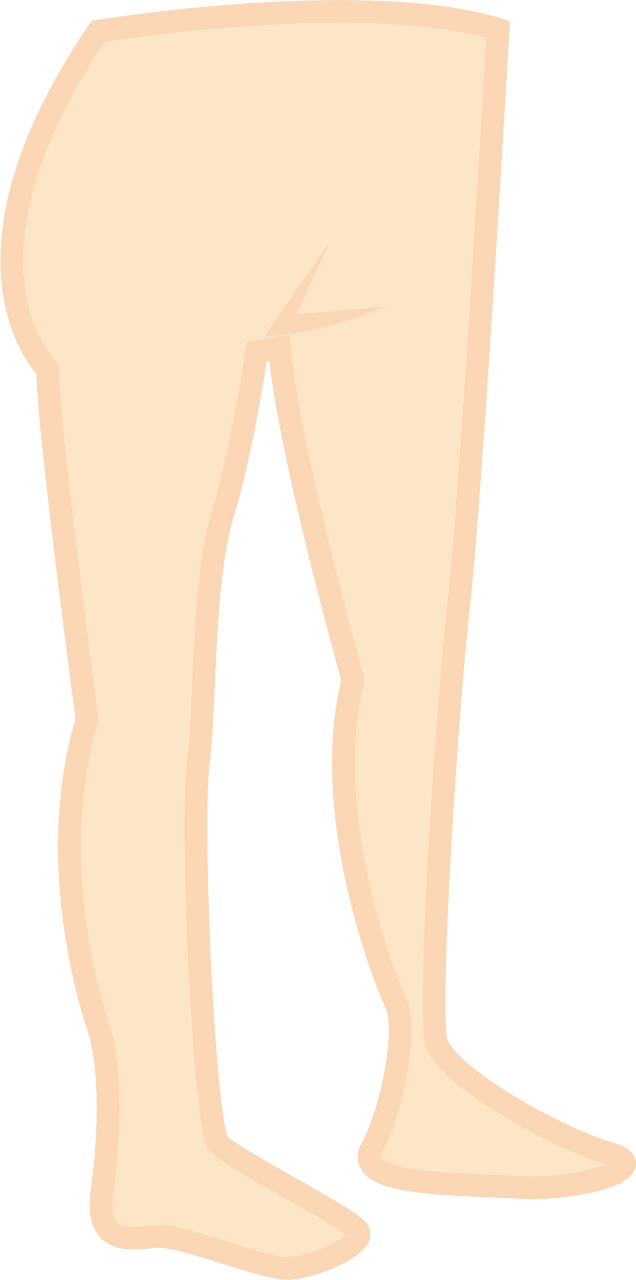 Lower Body Parts - Legs