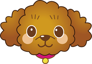 Poodle