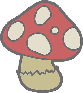 Fly Agaric (Amanita Muscaria) Mushroom