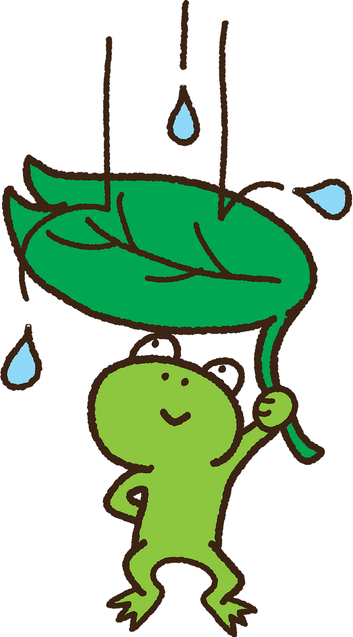 Frog with a Leaf under the Rain