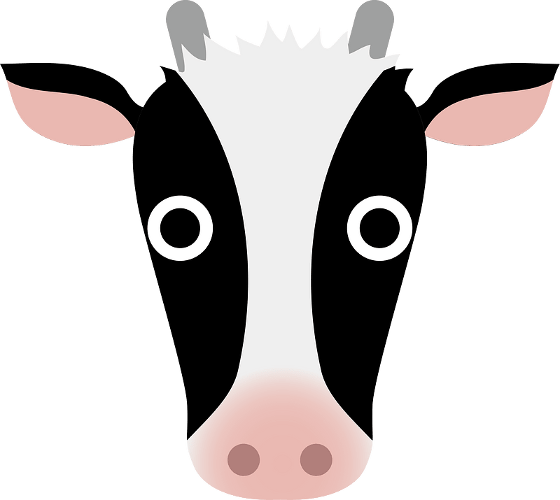 Cow Head
