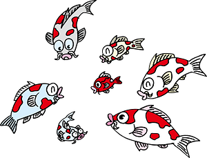 Carp Fish
