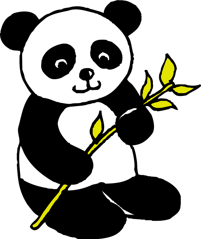 Giant Panda