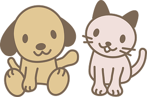Dog and Cat