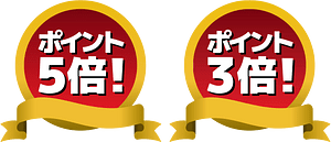 Loyalty Program