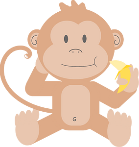 Macaco com banana