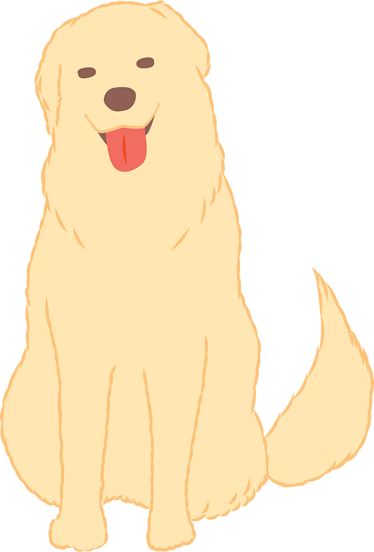 Golden Retriever Dog