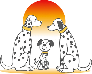 Dalmatian Dog