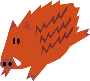 Wild Boar