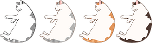 睡貓