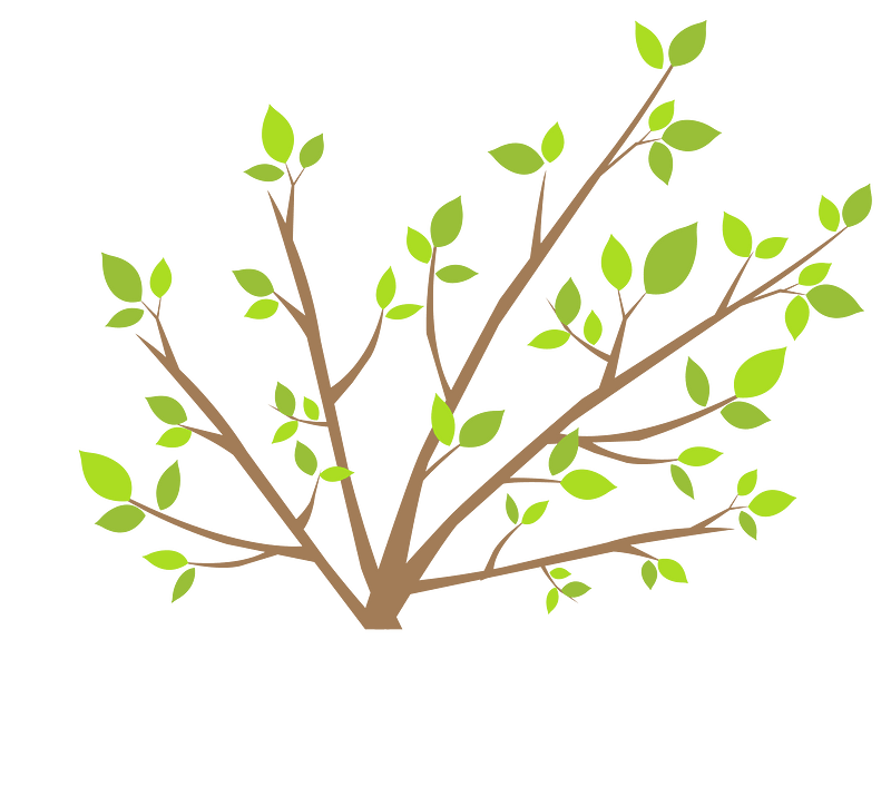 Tree Branch with Leaves