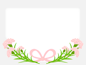 Carnation Frame for Mother's Day