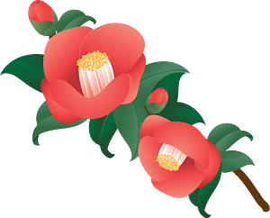 Camellia Flower