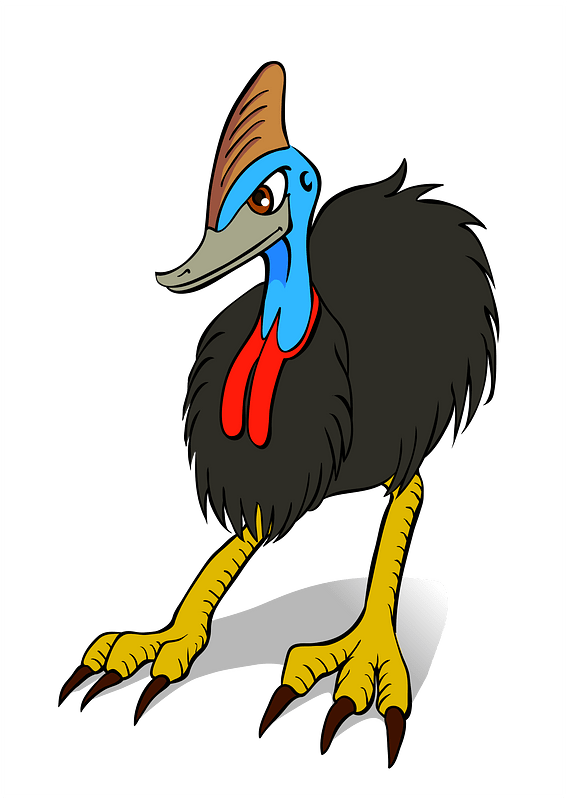 Southern Cassowary Bird