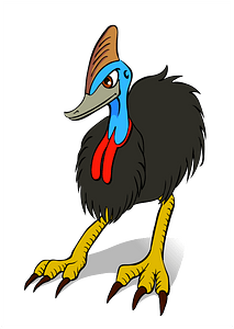 Southern Cassowary Bird