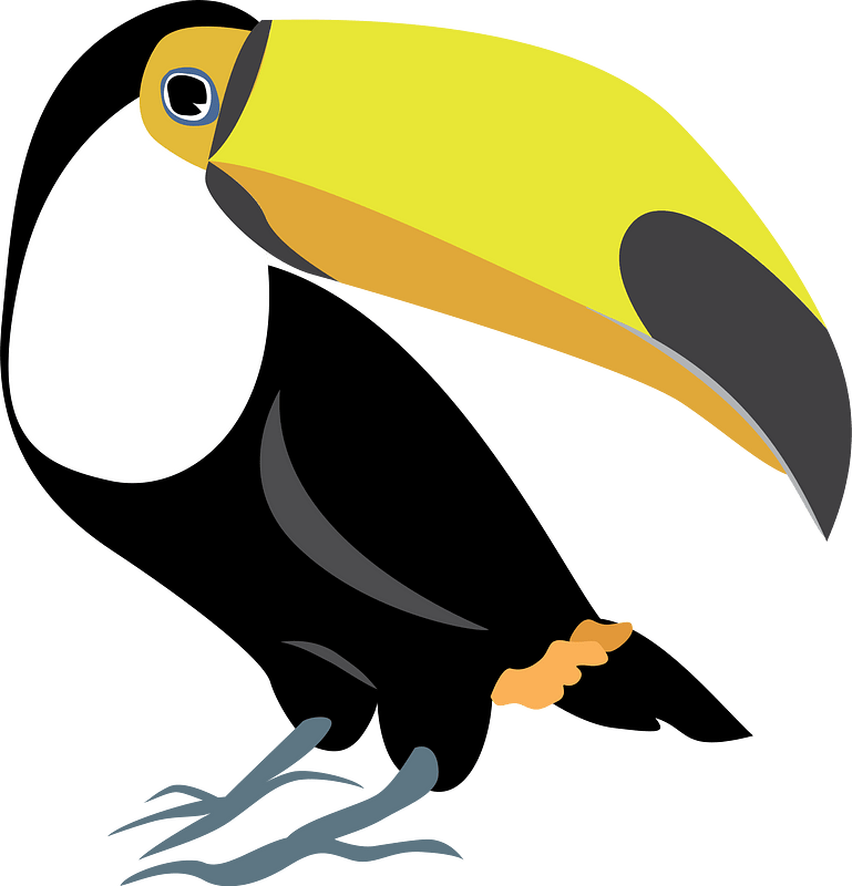 Toco Toucan Bird - Free vector clipart images on creazilla.com