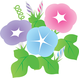 Morning Glory Flower