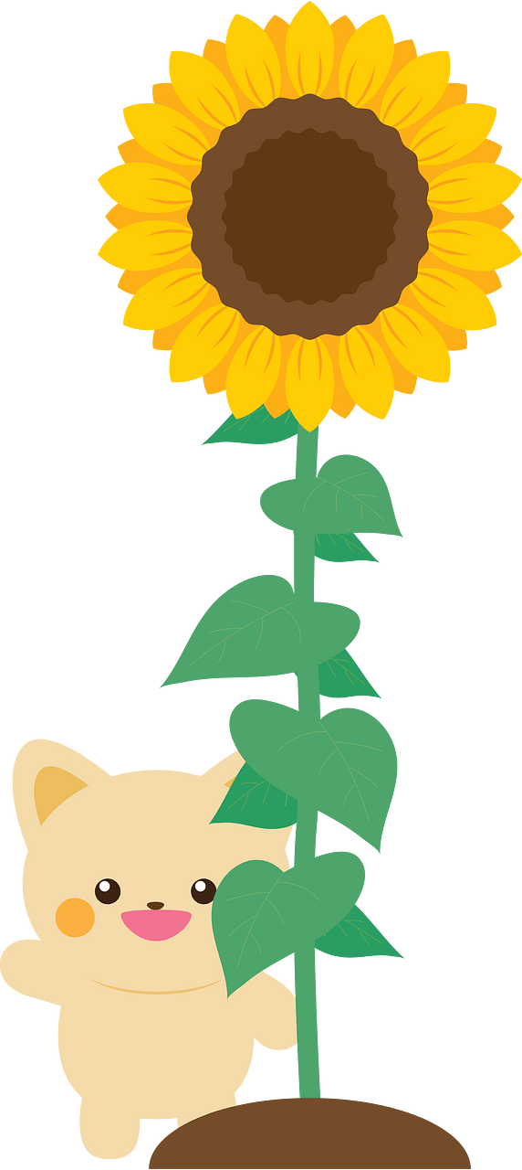 Kitten with Sunflower